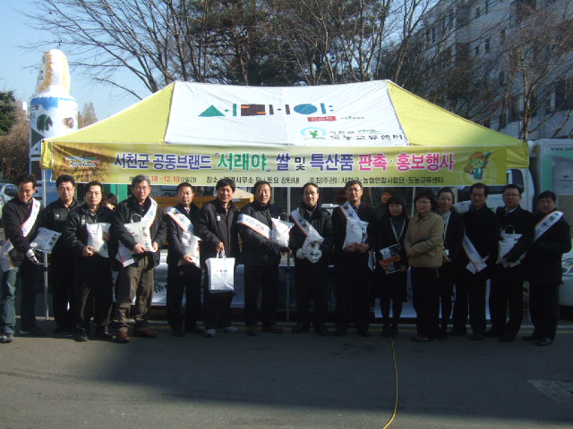 서래야 서울 주민들에 홍보