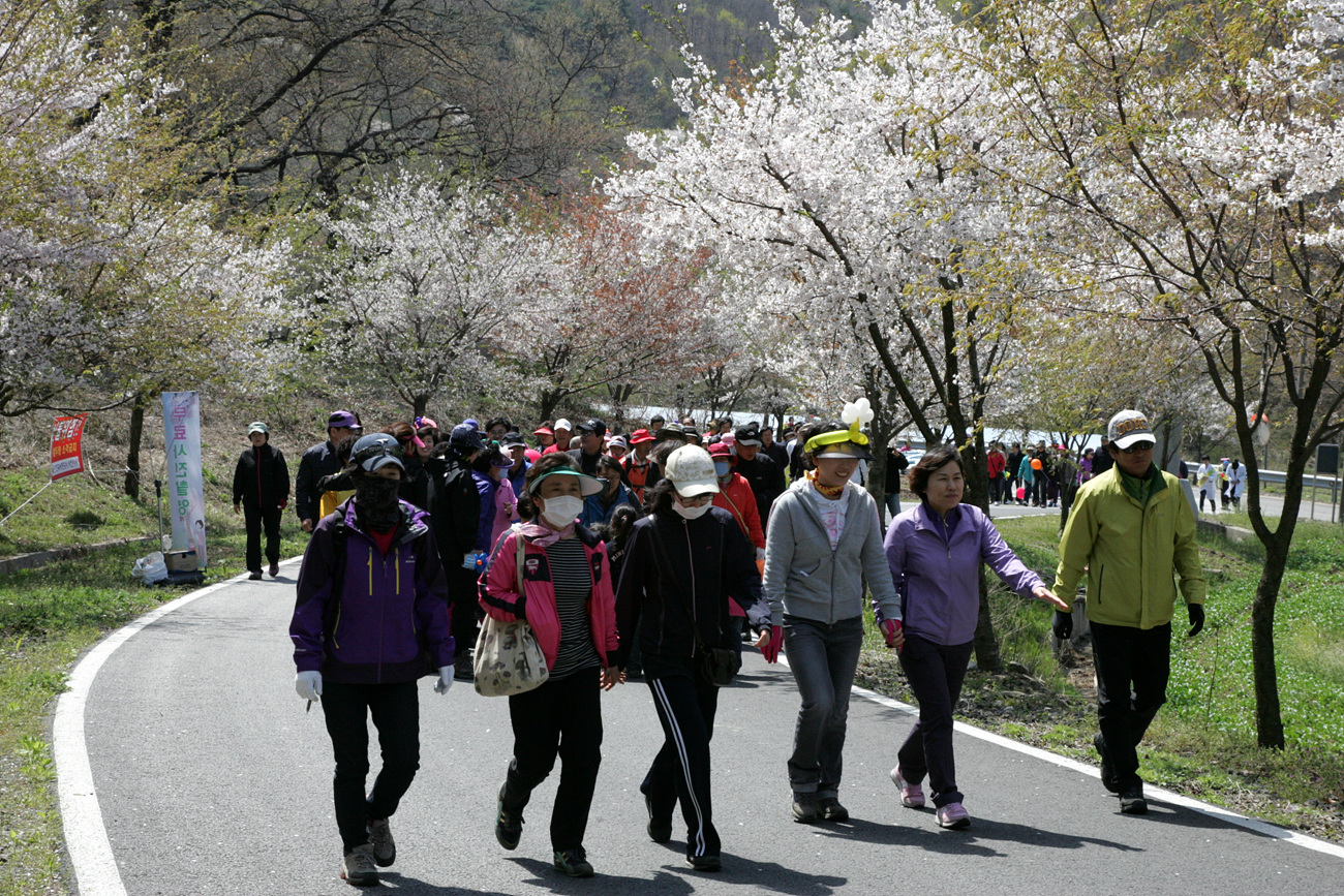 산벚꽃길도 걷고, 축제 구경도 하고..
