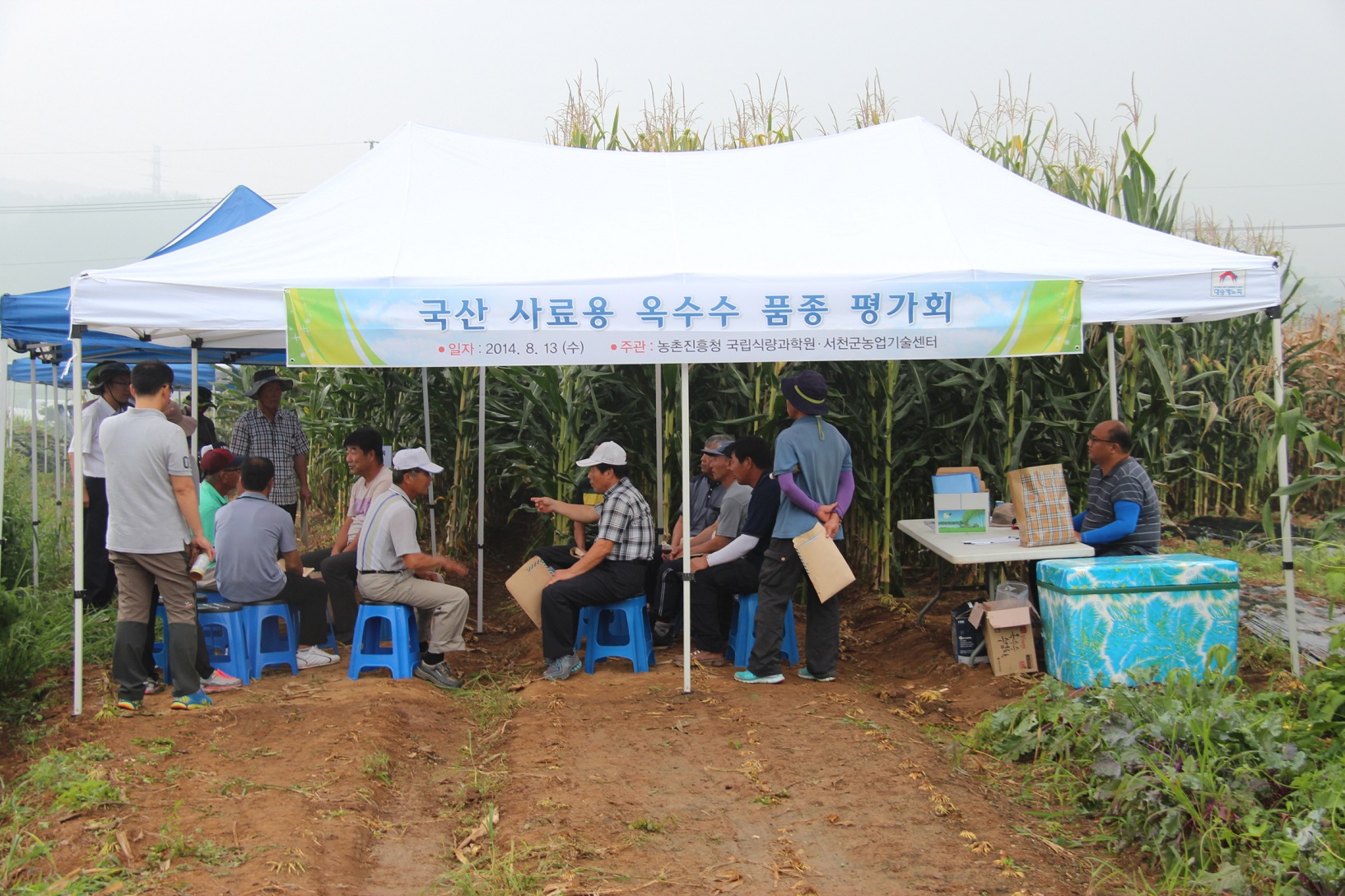 서천지역에 적합한 국산 사료용 옥수수 품종 선발