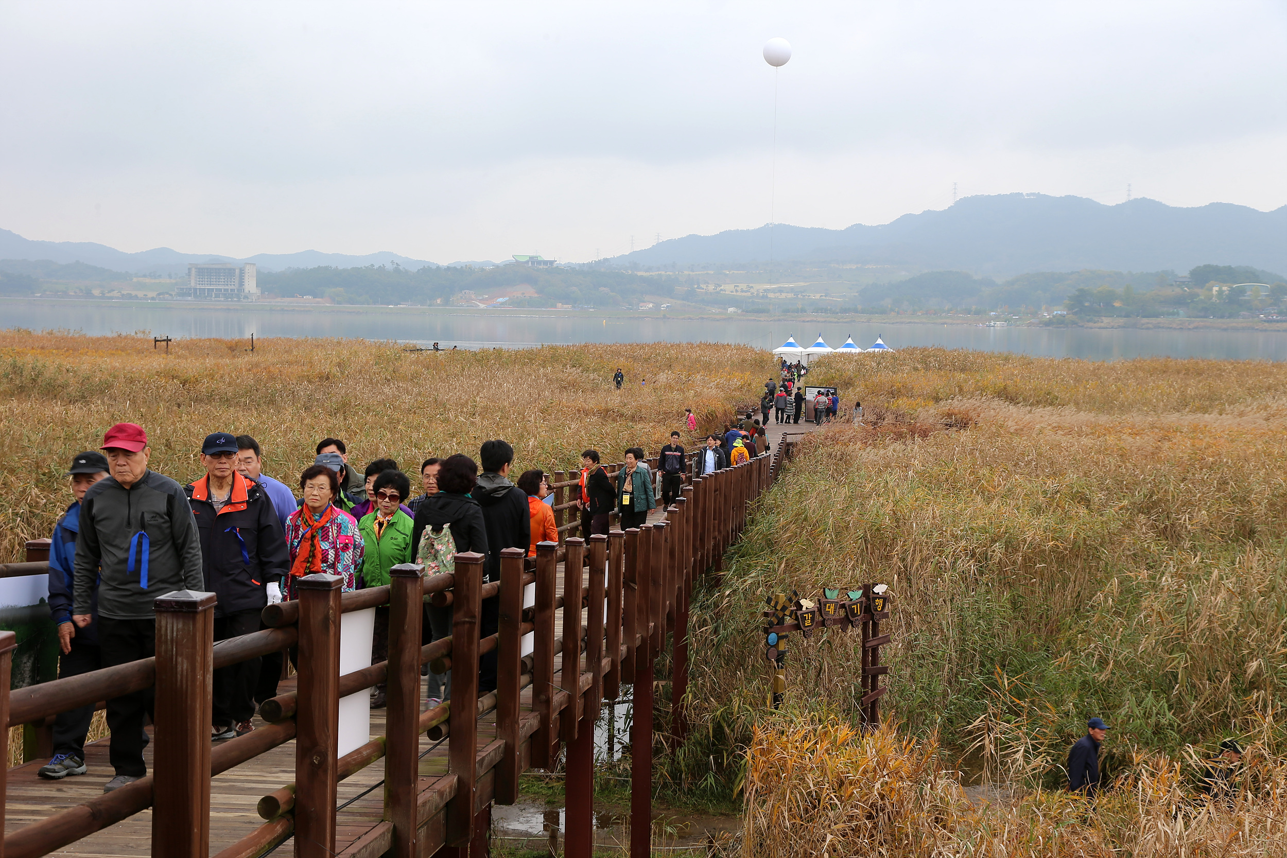 2014 서천 달빛문화 갈대축제 성황리에 개최