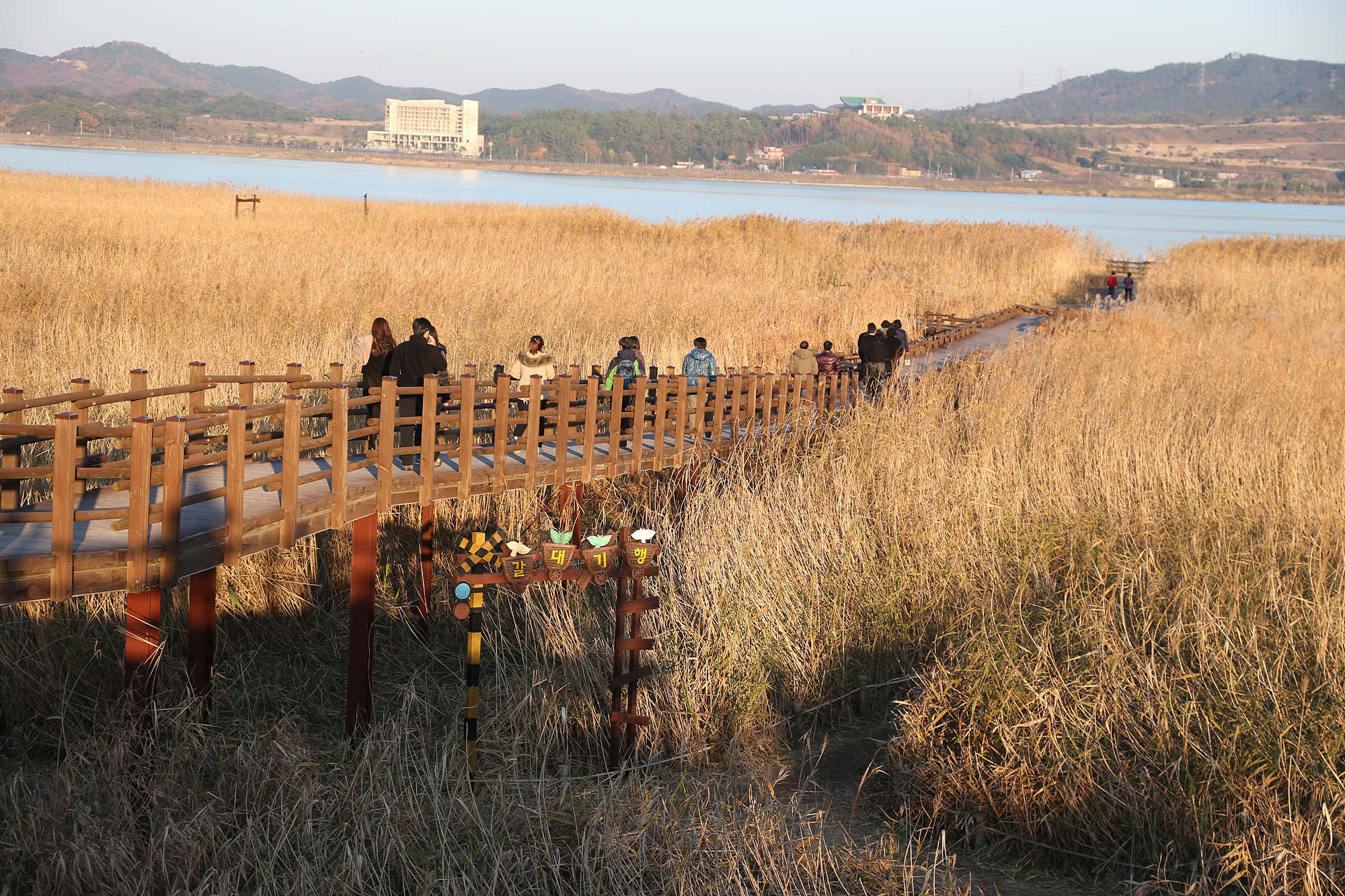 서천군, 신성리 갈대밭 23일부터 갈대 제거 작업~