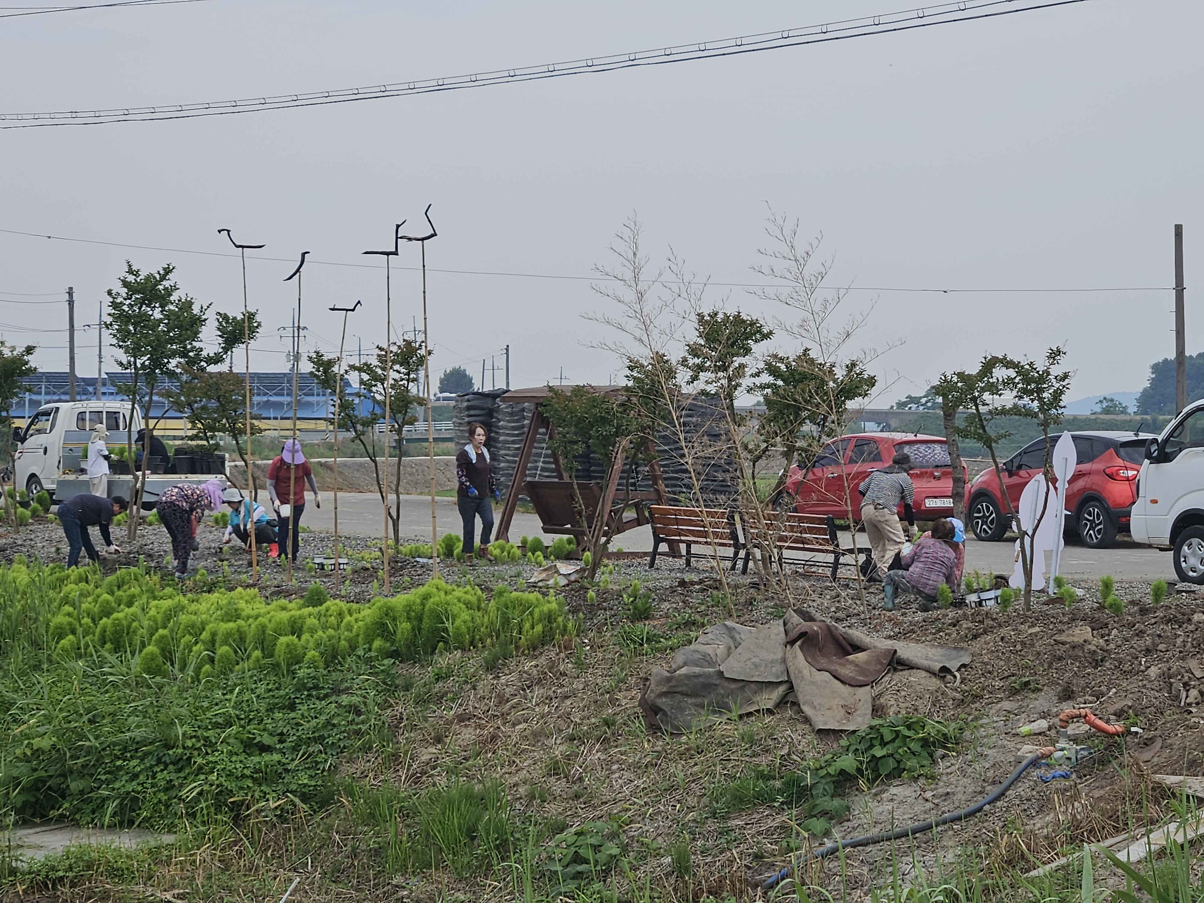 기산면, 댑싸리 산책길 조성 본격화