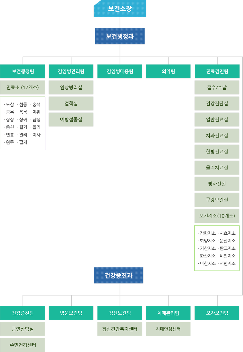 보건소 조직도